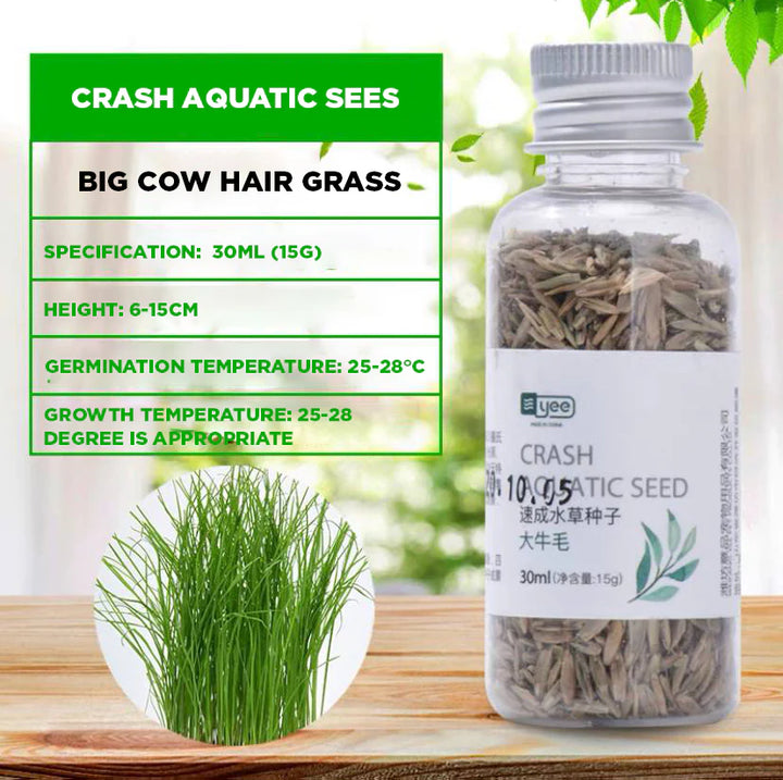 YEE Aquarium Plant Seeds