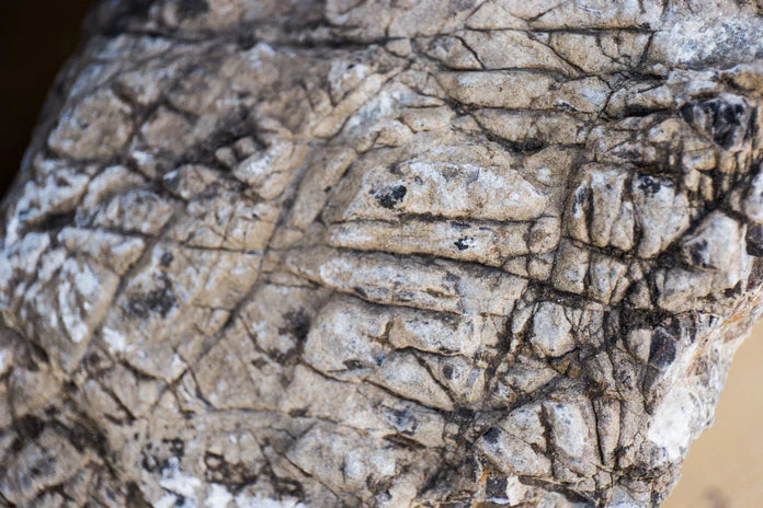 Elephant Skin Stone