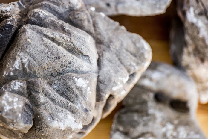 Elephant Skin Stone