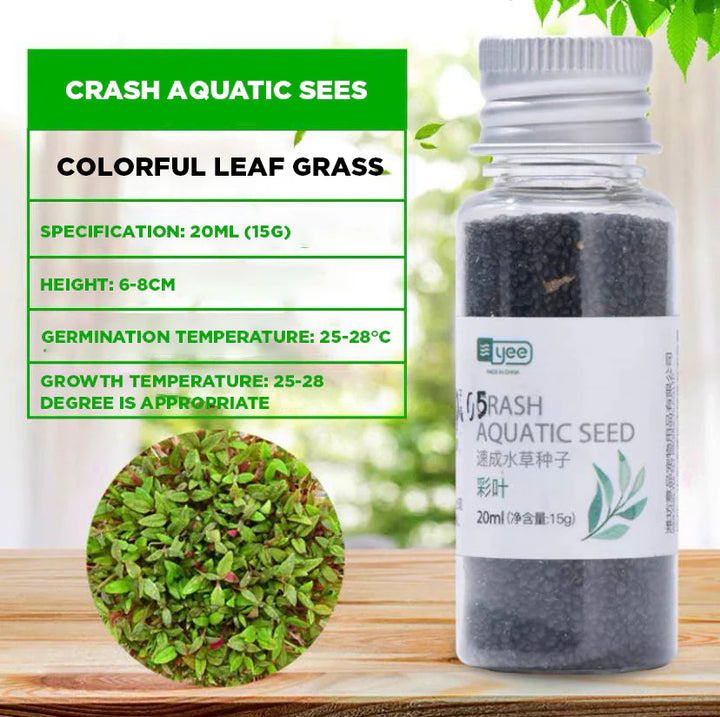 YEE Aquarium Plant Seeds