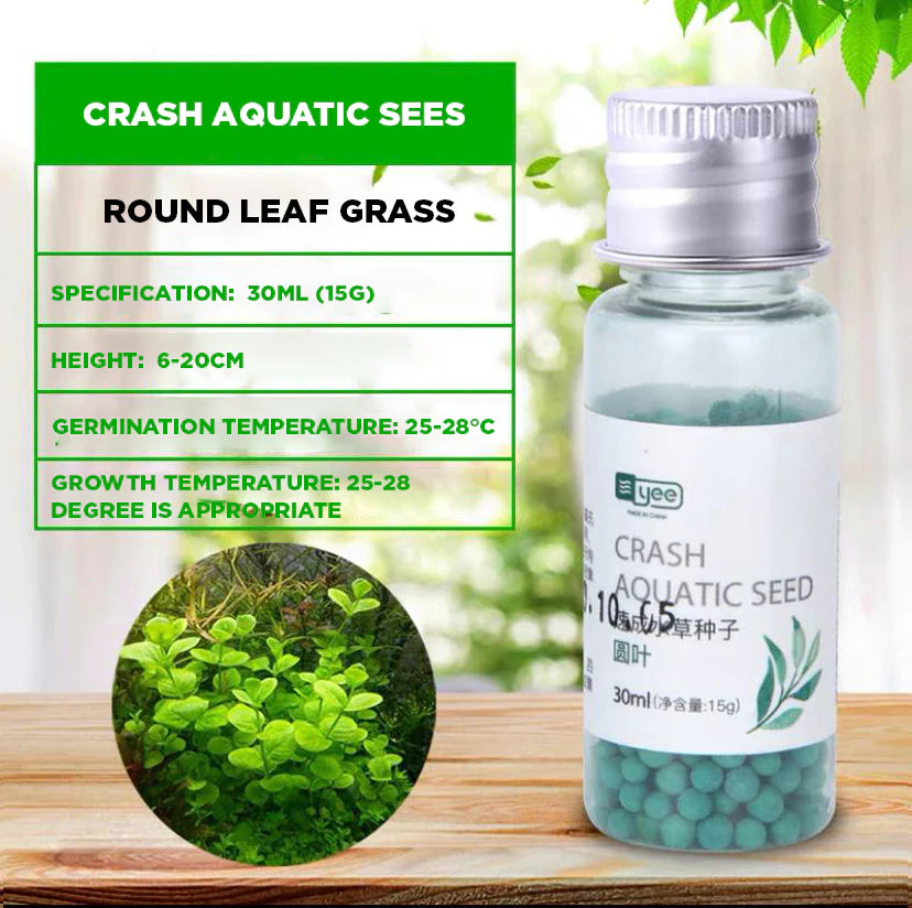 YEE Aquarium Plant Seeds