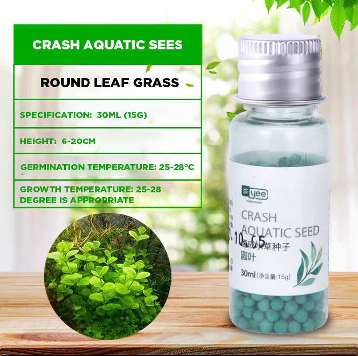 YEE Aquarium Plant Seeds