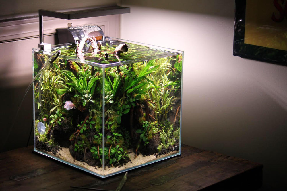 UNS 30C - 7.1 Gallon Ultra Clear Rimless Aquarium - Betta USA Aquatic