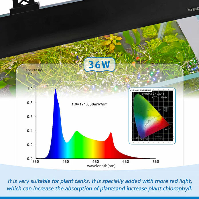 Hygger LED Light - Full Spectrum - Betta USA Aquatic