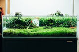 UNS 60S - 10.2 Gallon Ultra Clear Rimless Aquarium