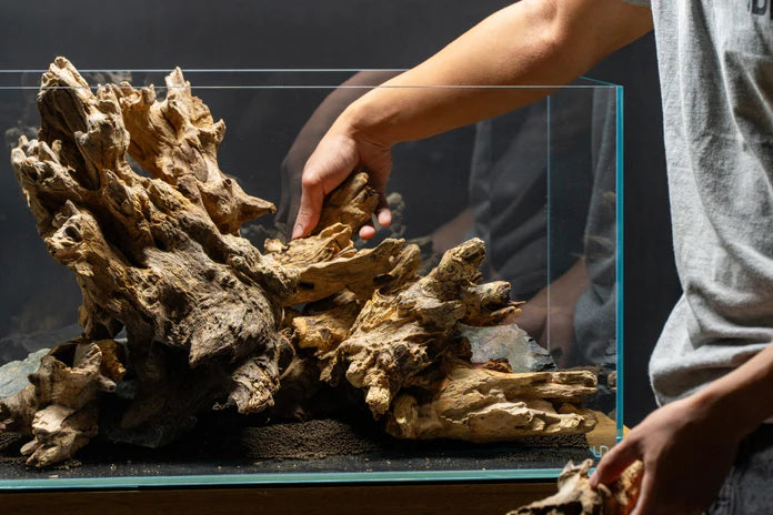 Madra Wood - Betta USA Aquatic