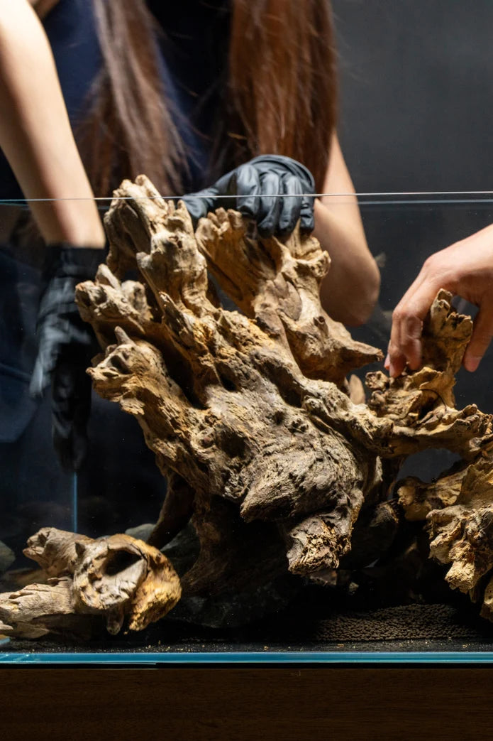 Madra Wood - Betta USA Aquatic