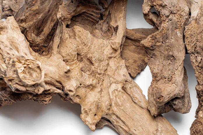 Madra Wood - Betta USA Aquatic