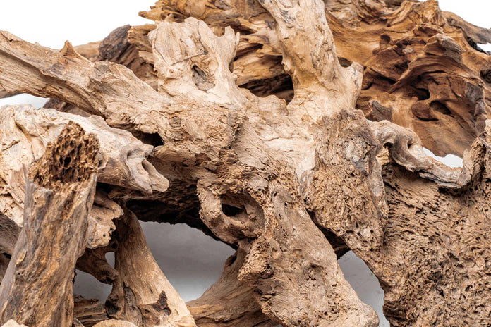 Madra Wood - Betta USA Aquatic