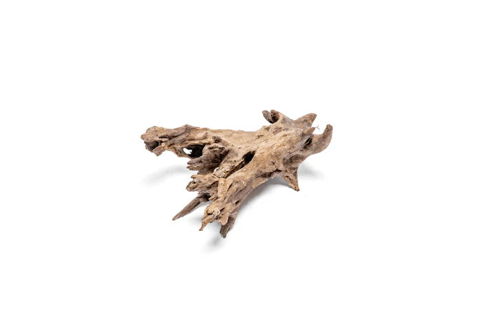 Madra Wood - Betta USA Aquatic