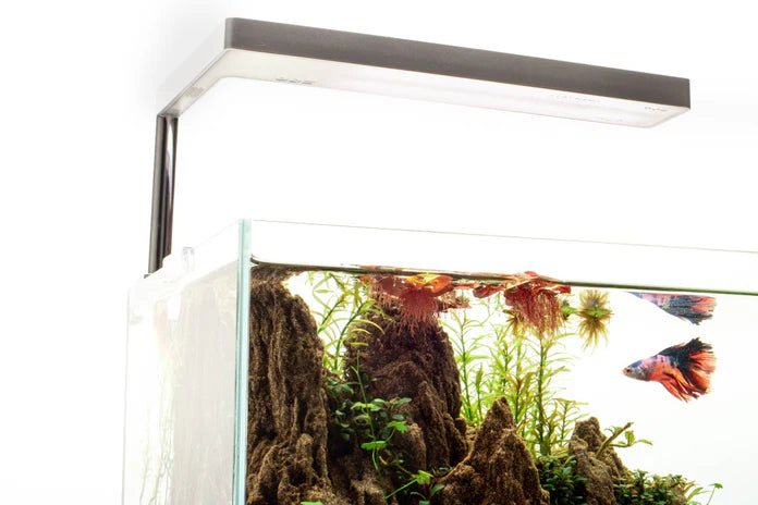 ONF Flat Nano LED Light - Silver - Betta USA Aquatic