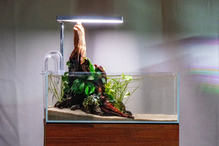 ONF Flat Nano LED Light - Silver - Betta USA Aquatic