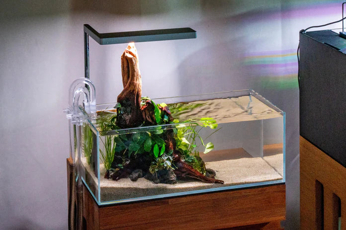 UNS 45L - 3.4 Gallon Ultra Clear Rimless Aquarium