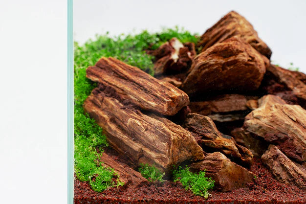 UNS Controsand 3L - Pacifica - Betta USA Aquatic