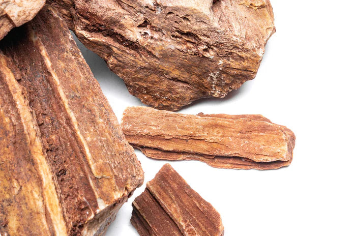 Red Petrified Wood