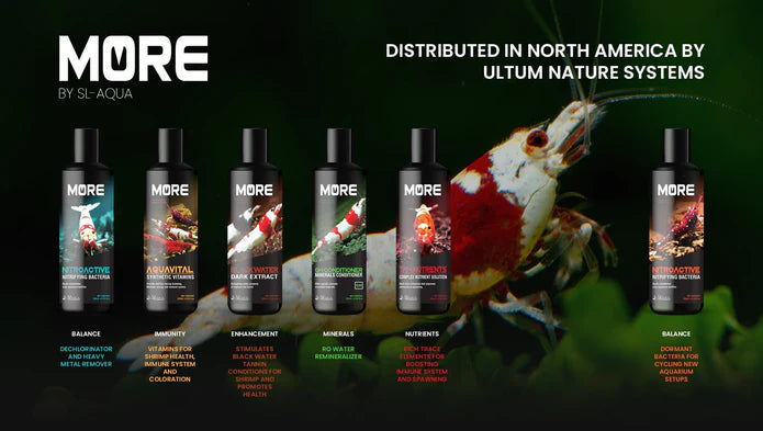 SL-Aqua Black MORE Nitrifying Bacteria for Bee Shrimp