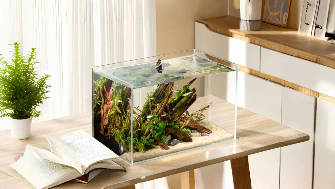 YEE Ultra White Rimless Glass Aquarium – 5MM Thickened, Handcrafted with Precision