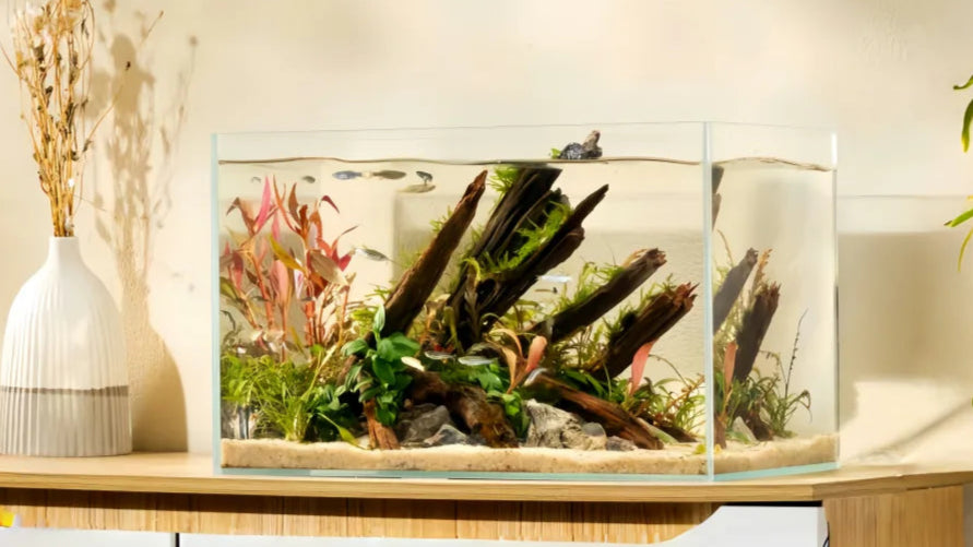YEE Ultra White Rimless Glass Aquarium – 5MM Thickened, Handcrafted with Precision