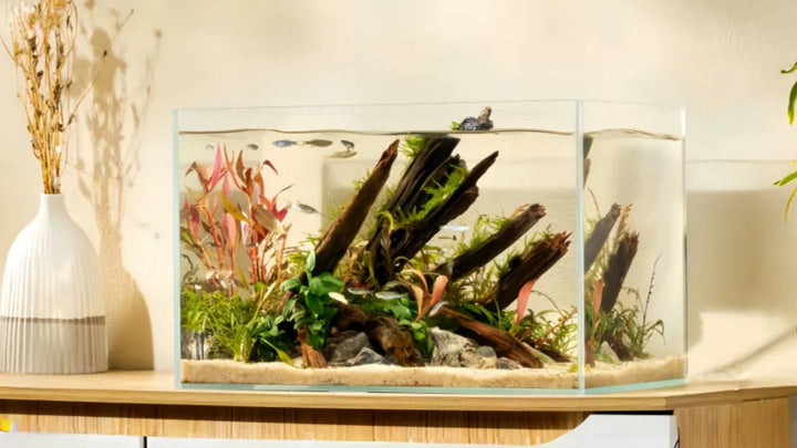 YEE Ultra White Rimless Glass Aquarium – 5MM Thickened, Handcrafted with Precision