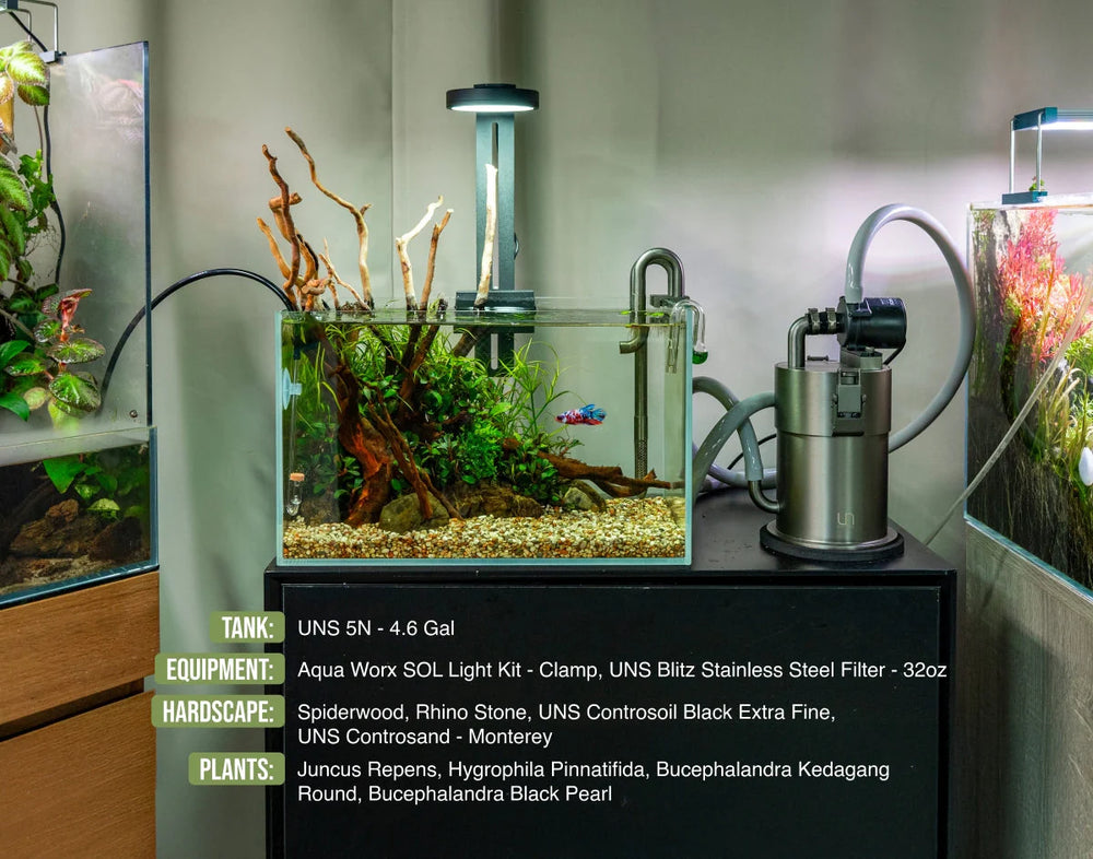 UNS 5N - 4.6 Gallon Ultra Clear Rimless Aquarium - Betta USA Aquatic