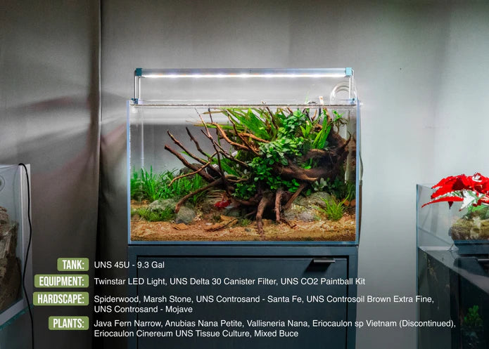 UNS Controsand 3L - Mojave - Betta USA Aquatic