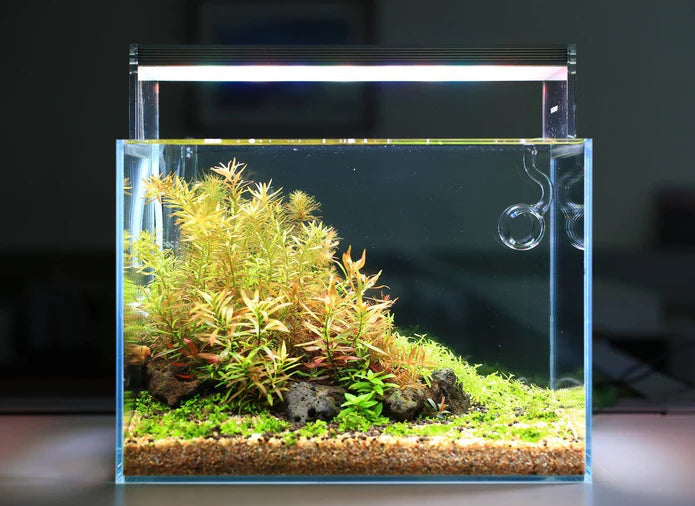 Twinstar LED E Series Light