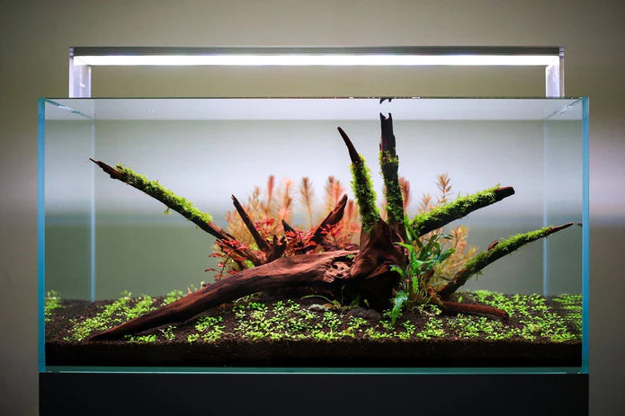 Twinstar LED E Series Light - Betta USA Aquatic