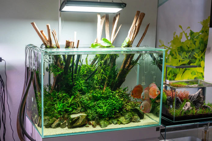 Ultum Nature Systems Titan 1 LED Light