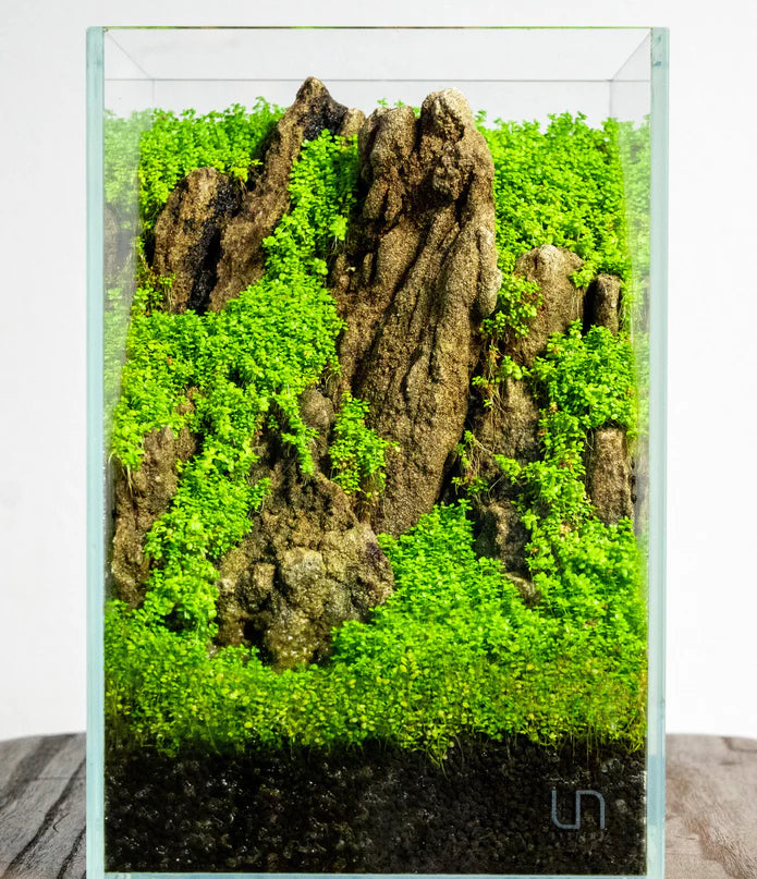 UNS 16T - 1.6 Gallon Ultra Clear Rimless Aquarium - Betta USA Aquatic