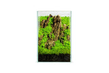 UNS 16T - 1.6 Gallon Ultra Clear Rimless Aquarium