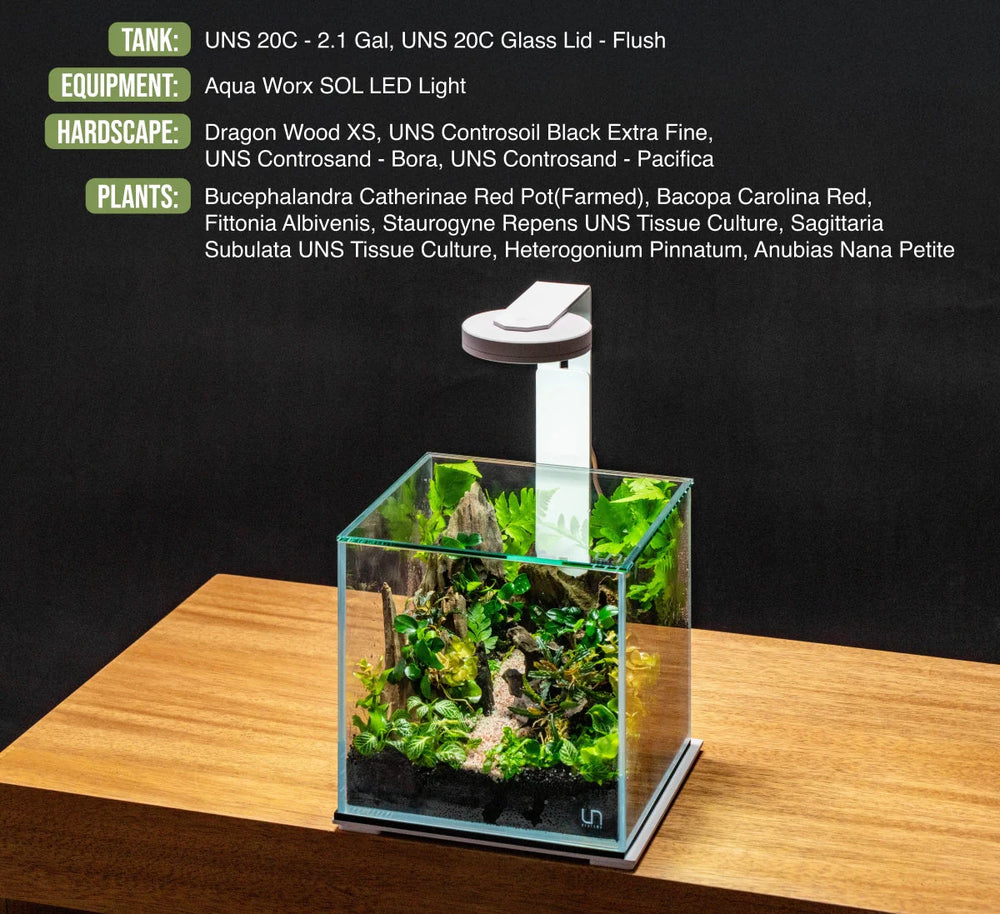 UNS 20C - 2.1 Gallon Ultra Clear Rimless Aquarium - Betta USA Aquatic