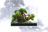 UNS 3N - 2.9 Gallon Ultra Clear Rimless Aquarium