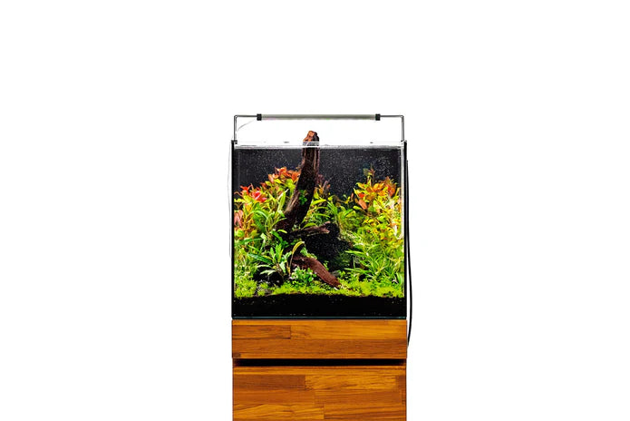 UNS 40A - 16 Gallon Dual AIO Rimless Aquarium - Betta USA Aquatic