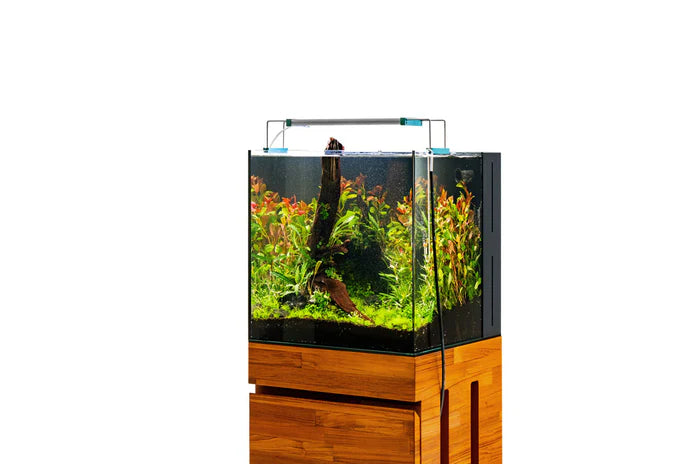 UNS 40A - 16 Gallon Dual AIO Rimless Aquarium - Betta USA Aquatic