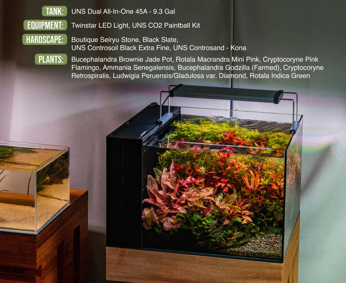 UNS 45A - 9 Gallon Dual AIO Rimless Aquarium - Betta USA Aquatic