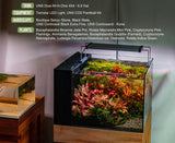 UNS 45A - 9 Gallon Dual AIO Rimless Aquarium