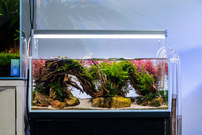 UNS 45L - 3.4 Gallon Ultra Clear Rimless Aquarium