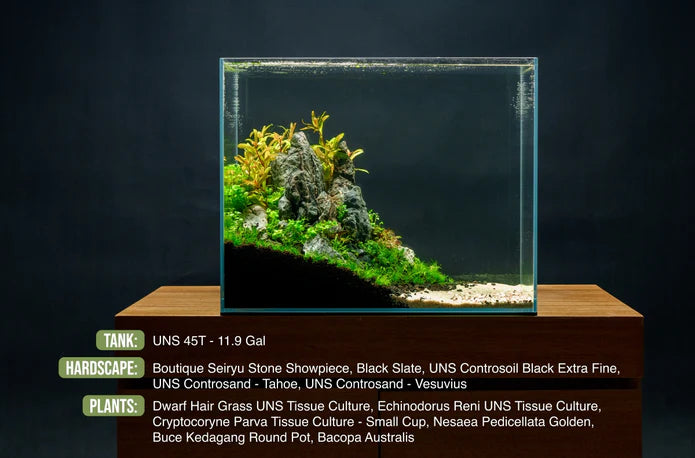 UNS 45T - 11.9 Gallon Ultra Clear Rimless Aquarium