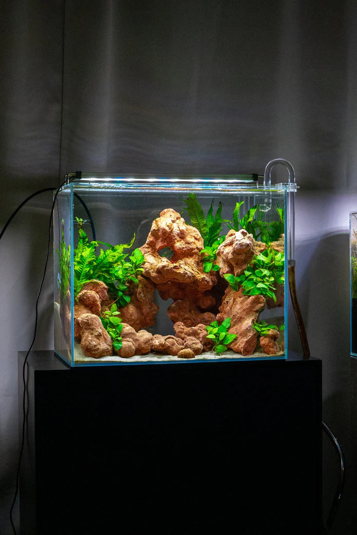 UNS 45T - 11.9 Gallon Ultra Clear Rimless Aquarium