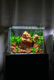 UNS 45T - 11.9 Gallon Ultra Clear Rimless Aquarium