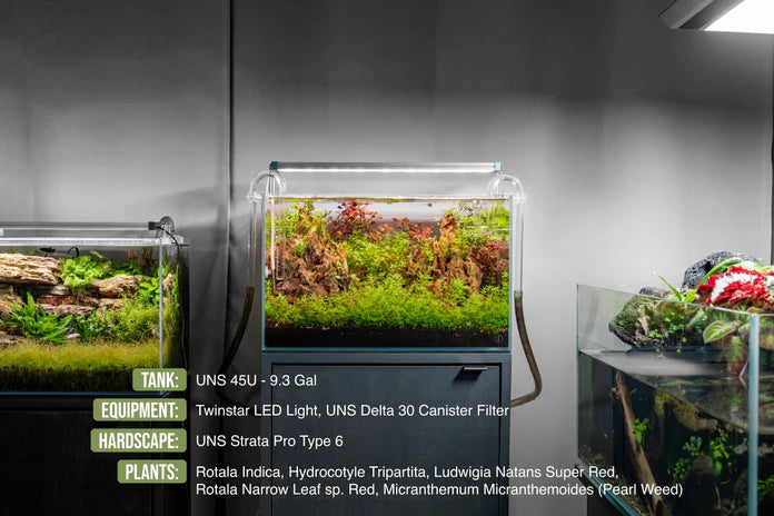UNS 45U - 9.3 Gallon Ultra Clear Rimless Aquarium