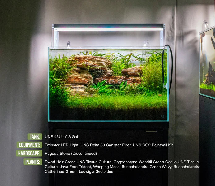 UNS 45U - 9.3 Gallon Ultra Clear Rimless Aquarium