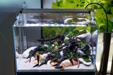 UNS 45U - 9.3 Gallon Ultra Clear Rimless Aquarium