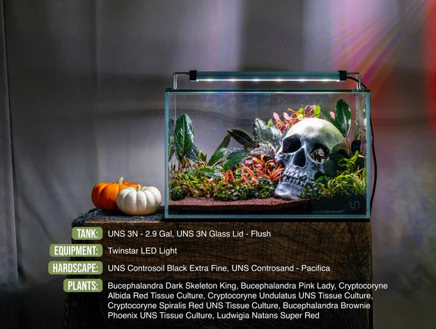 UNS Controsand 3L - Pacifica - Betta USA Aquatic