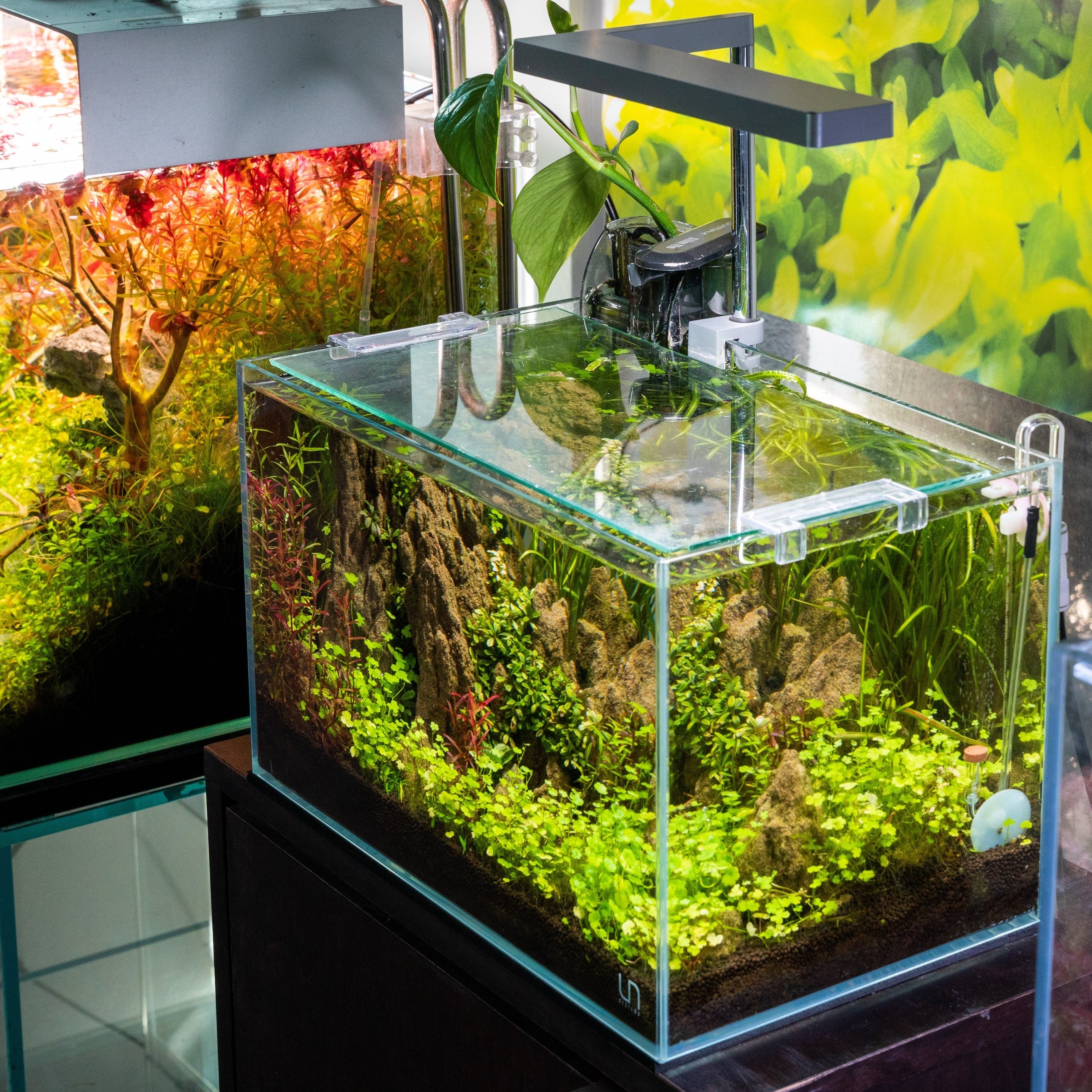 UNS 5N - 4.6 Gallon Ultra Clear Rimless Aquarium