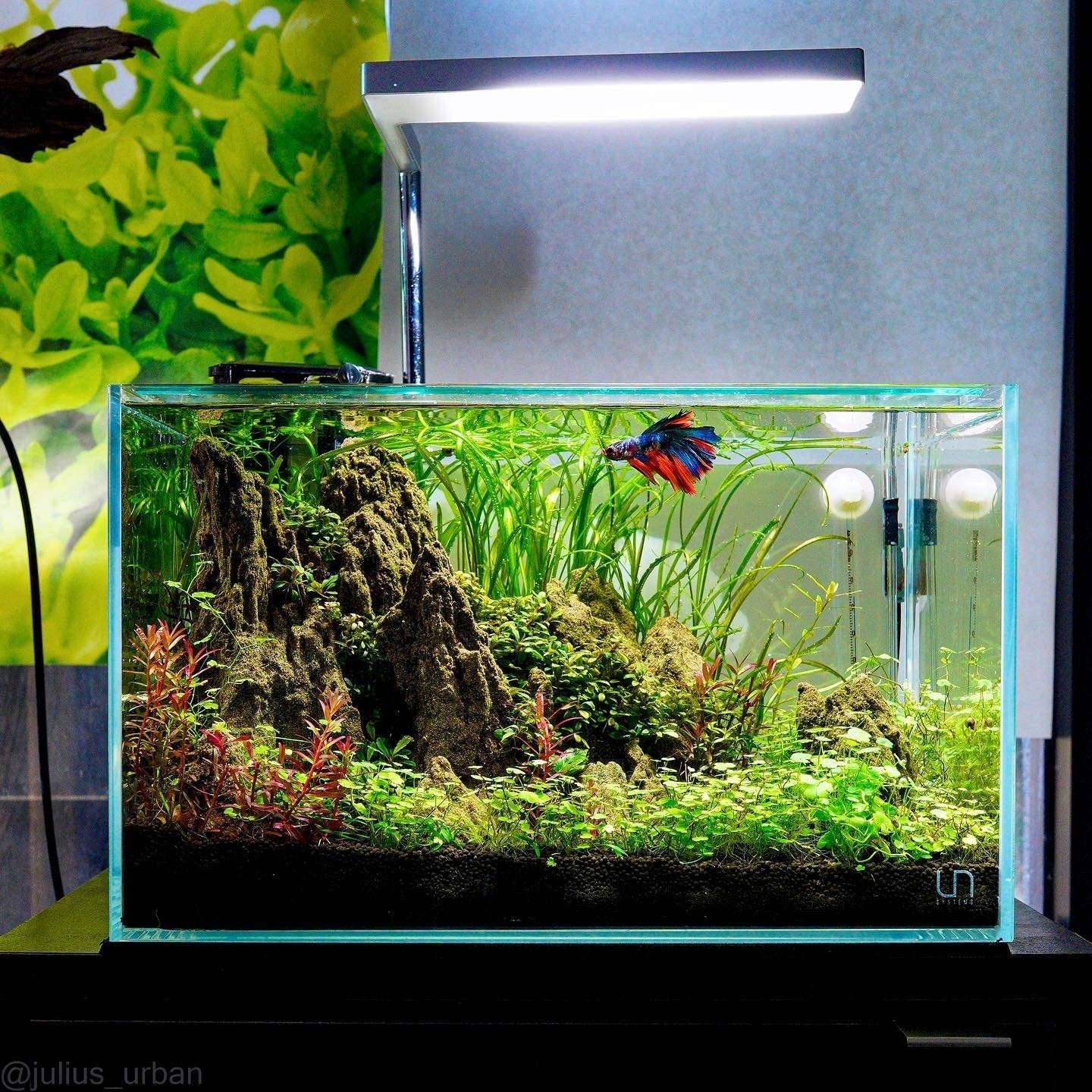 UNS 5N - 4.6 Gallon Ultra Clear Rimless Aquarium