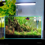 UNS 5N - 4.6 Gallon Ultra Clear Rimless Aquarium