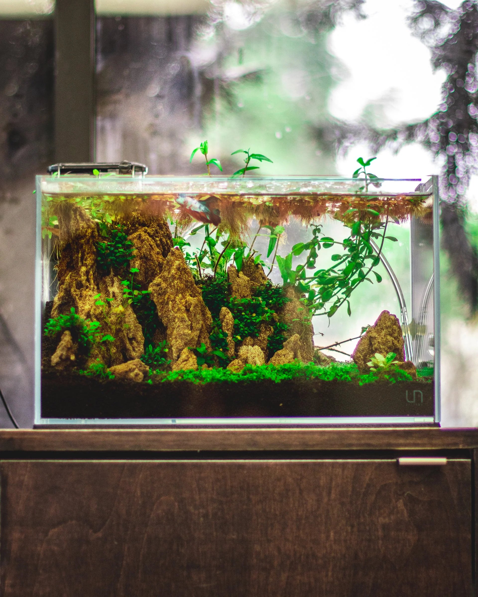 UNS 5N - 4.6 Gallon Ultra Clear Rimless Aquarium