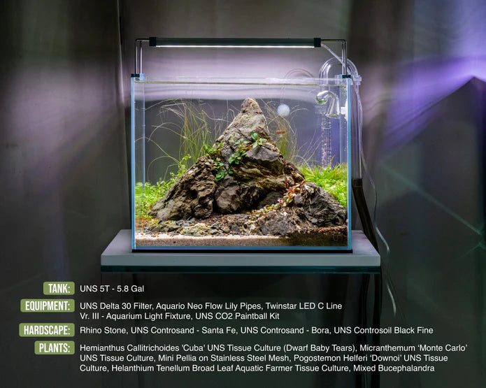 UNS Controsand 3L - Bora - Betta USA Aquatic