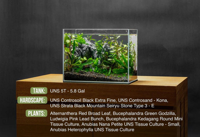 UNS 5T - 5.8 Gallon Ultra Clear Rimless Aquarium